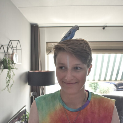 Thomas is looking for a Room in Hilversum